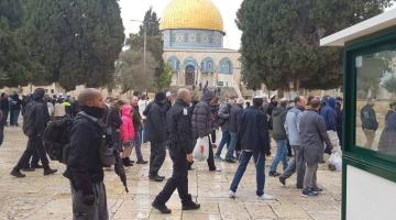 2230 صهيوني اقتحموا الأقصى خلال الأسبوع الماضي