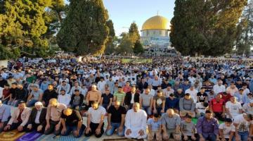 دعوات لشد الرحال للمسجد الأقصى في يوم عرفة