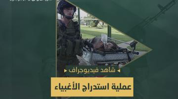 فيديو جراف.. عملية «استدراج الأغبياء»