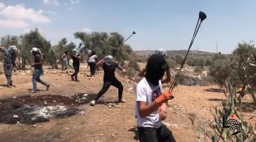 إصابات بالمطاط والاختناق خلال مواجهات على جبل صبيح