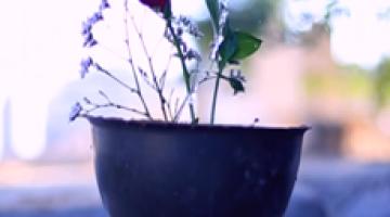 فاصل تقبل الله جهادكم