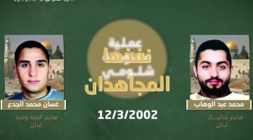 فيديو جراف.. عملية «شلومي» النوعية 