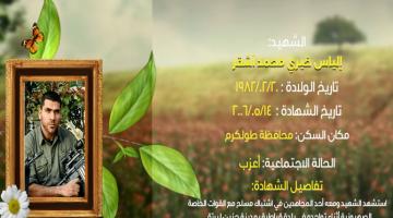 وصايا مسافرة "إلياس الأشقر"