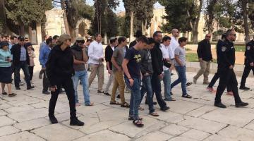  مستوطنون يقتحمون باحات الأقصى