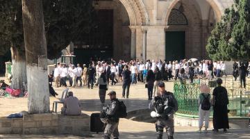 مستوطنون يقتحمون الأقصى واعتقال أحد حراسه