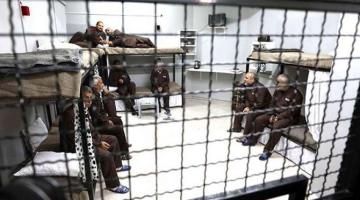 ارتفاع أعداد الأسرى المحكومين بالمؤبد لـ 553 أسيرًا