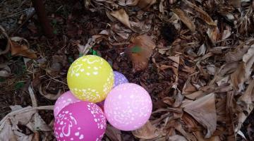 البالونات الحارقة تسقط من جديد في "غلاف غزة"