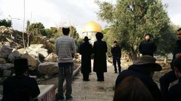 34 مستوطناً يقتحمون باحات الأقصى
