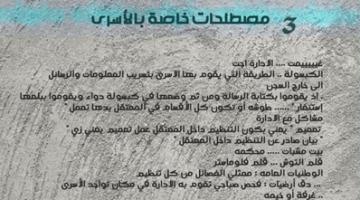 لغة السجون.. مصطلحات لا يفهمها إلا الأسرى