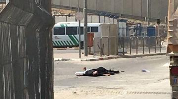 الإعدامـات الميدانيـة.. إرهـاب لا يتوقـف
