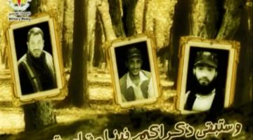 بروموشن القادة