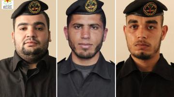 سامح-فهيم-هاشم-المملوك