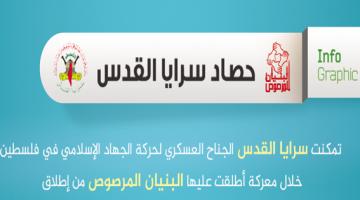 الحصاد الجهادي للمعركة (انفو جرافيك)