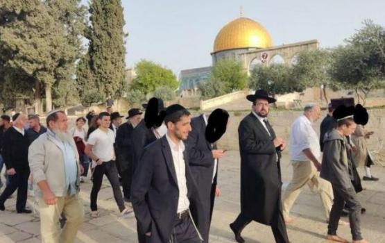 عشرات المستوطنين يقتحمون باحات الأقصى