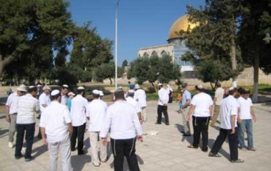 عشرات المستوطنين يقتحمون الأقصى المبارك