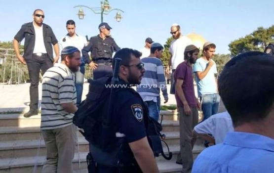 1160 مستوطناً اقتحموا الأقصى بنوفمبر