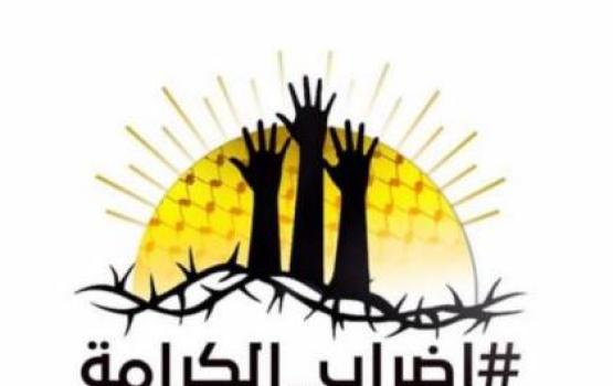 الأسرى يواصلون الإضراب عن الطعام لليوم الـ 33 على التوالي