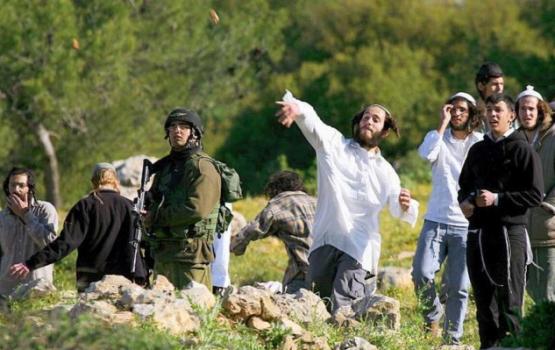 مستوطنون يعتدون على المواطنين وسط الخليل