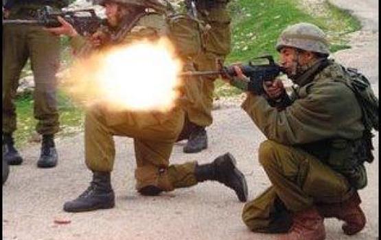 الجيش الصهيوني يمنع مزارعي شمال غزة من الحصاد ويفتح النار عليهم