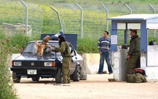 الاحتلال يحتجز عشرات المركبات الفلسطينية بمدينة طوباس شمال الضفة المحتلة