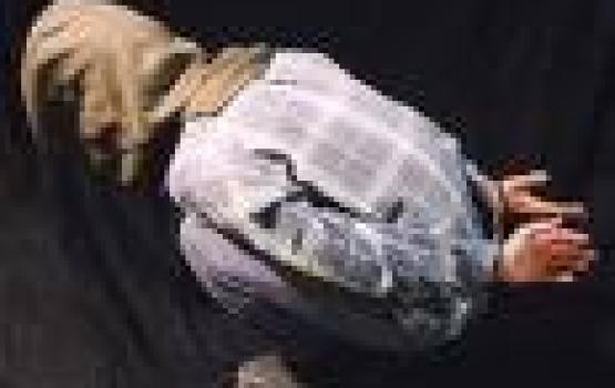 التنكيل بالأسرى خلال رمضان .. الاحتلال يجبر الأسرى على تناول الإفطار وهم مكبلو الأيدي