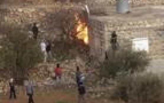 مستوطنون صهلينة يضمون النيران بأراضي قرية دير نظام بمحافظة رام الله