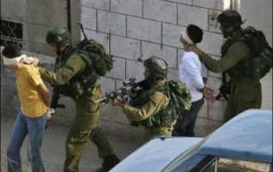 قوات الاحتلال تجرف منشآت زراعية في الخليل وتعتقل أربعة مواطنين