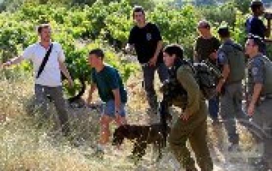 بعد نوايا حكومتهم إخلاء نقاط استيطانية..المغتصبون يخططون لارتكاب عمليات إرهابية بالضفة المحتلة