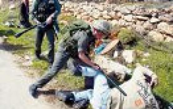 اعتداء صهيوني