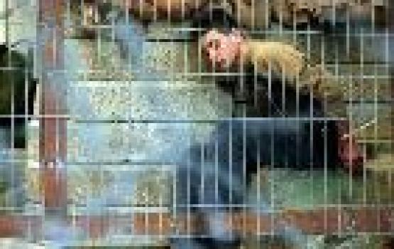 أسير من غزة يدخل عامه التاسع عشر في سجون الاحتلال