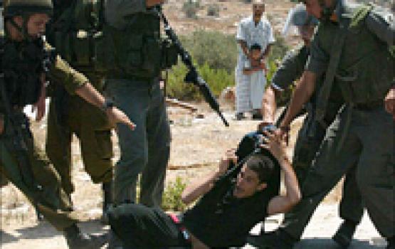 الاحتلال يعتدي بالضرب على 8 عمال من يطا جنوب الخليل