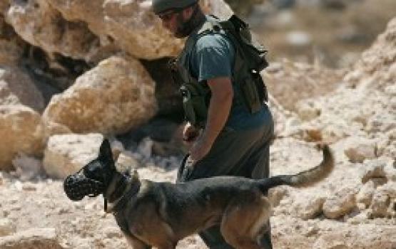 شرطة الاحتلال تستخدم سلاحاً جديداً لمواجهة أصحاب المنازل المهدمة بالقدس المحتلة