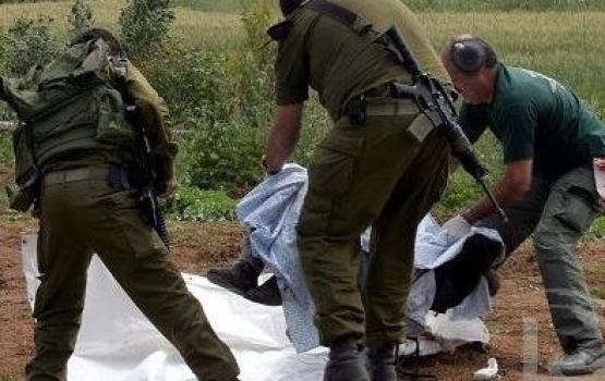 مستشفيات صهيونية متخصصة في سرقة أعضاء الشهداء الفلسطينيين