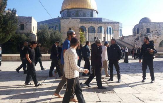 مستوطنون يقتحمون الأقصى وسط حماية مشددة