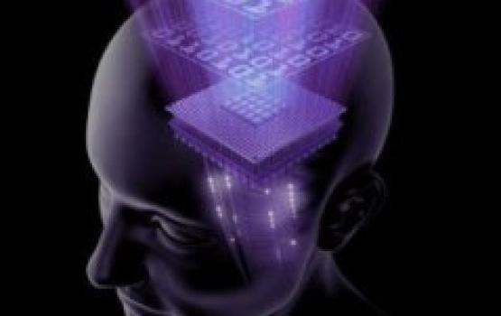 جريمة التجسس ومعركة المعلومات