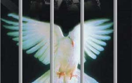 الاحتلال يفرج عن أسير من جنين أمضى 17 عاماً