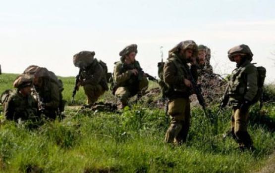 جنود صهاينة يشتكون من إنتشار الفئران بمطبخ قاعدتهم العسكرية