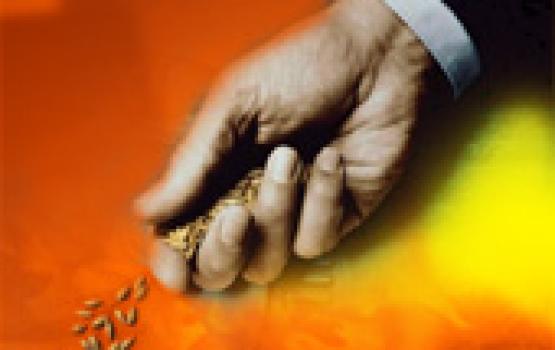 رمضان شهر الجود