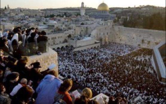 جندي صهيوني يلقي قنبلة في محيط "الأقصى" ومغتصبون يدنسو باحااته