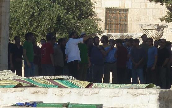 بالصور.. جماعات يهودية متطرفة تواصل استباحة الأقصى