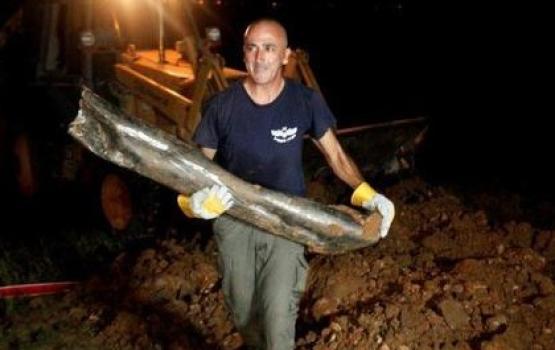 العدو: سقوط صاروخ في شاعر هنيغف