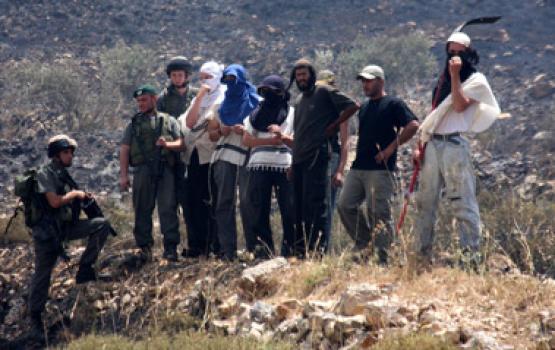 عشرات المستوطنين يهاجمون المزارعين بنابلس