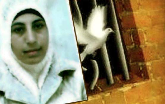 أسيران ينضمان للإضراب المفتوح تضامناً مع الاسيرة "هناء الشلبي"