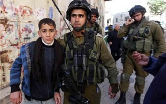 الخليل.. الاحتلال يعتقل جريحًا يعاني من نزيف دماغي