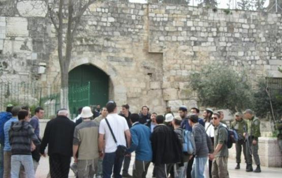 اعتقال مجموعة من المتطرفين يقتادون 'قربانا' لذبحه في الأقصى