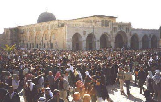 قوات الاحتلال تحتجز 100 من المرابطين بالمسجد الأقصى