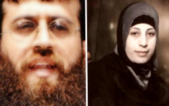 "جنين" تستعيد مجدها بإضرابات "عدنان" و"شلبي"