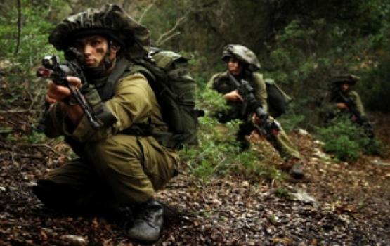 مناورة صهيونية أمريكية نهاية الشهر الجاري