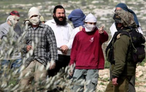 مستوطنون يخربون أراض ويتلفون أشجارا بالخضر