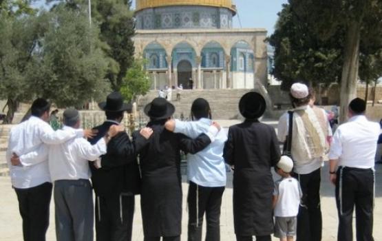 مرابطو الأقصى يطردون المستوطنين المقتمحين